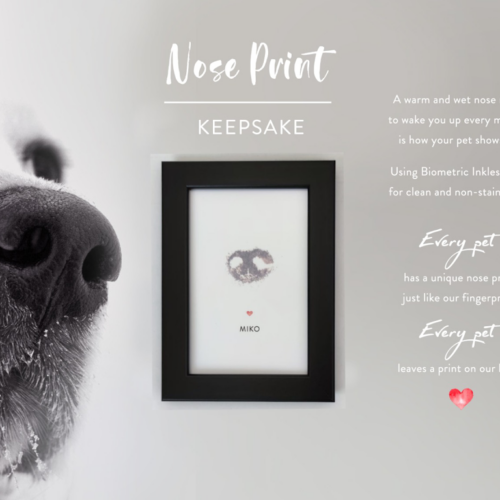 Paws To Heaven Established Pet Crematorium in Singapore