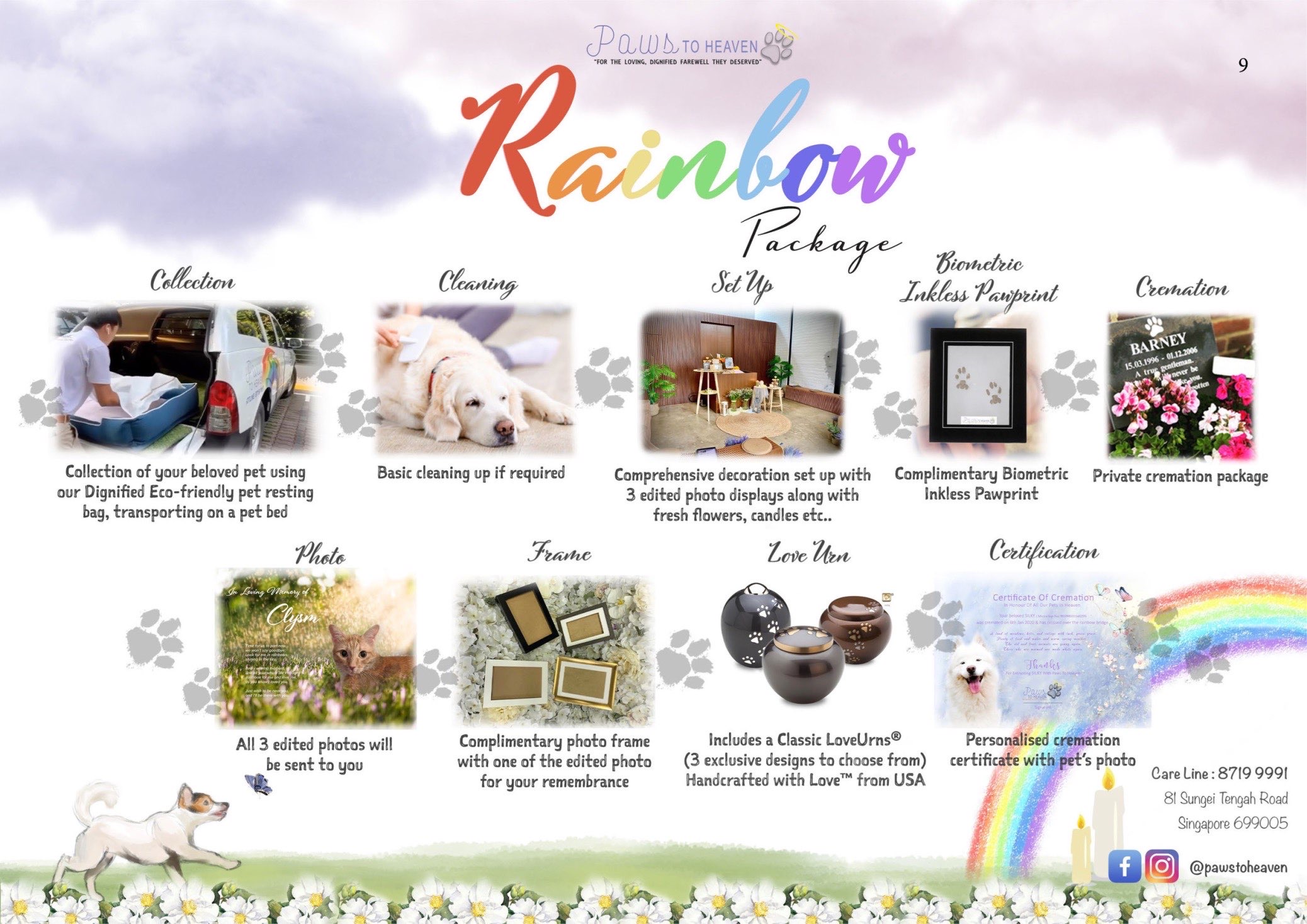 Over the best sale rainbow pet cremation